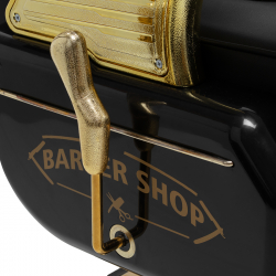 Barberarstol HAIR SYSTEM MT-91 GOLD svart